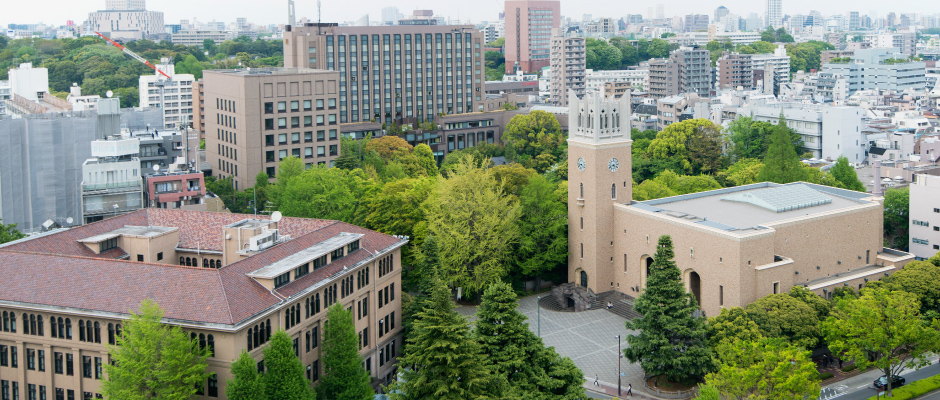 早稲田大学政治経済学部政治